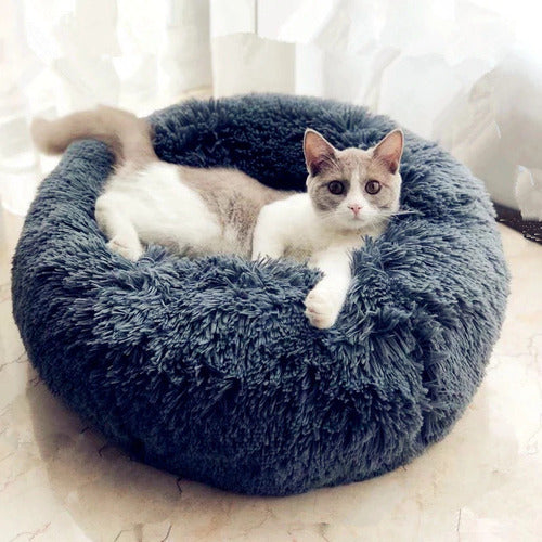 Canadian-Carto Cat Bed
