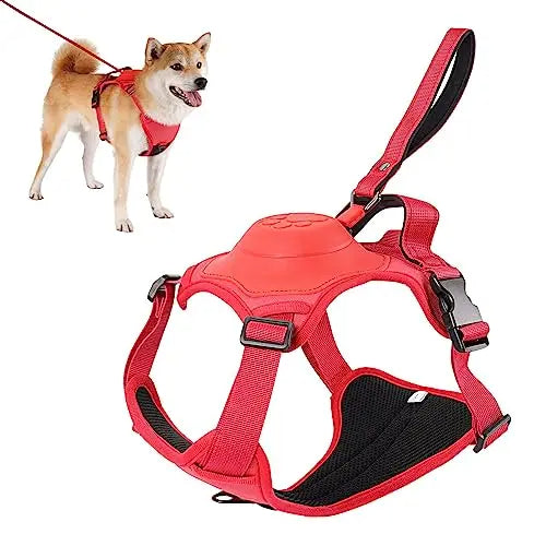Canadian-Carto Dog Harness and Automatic Retractable Leash Kit