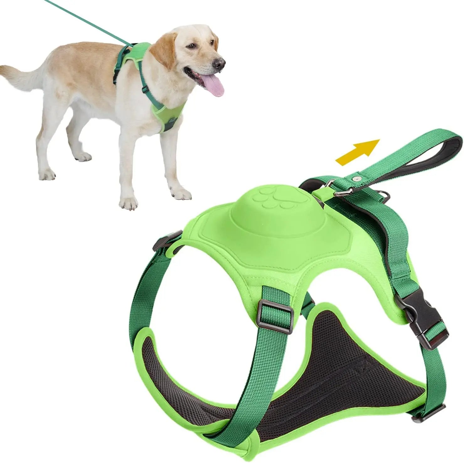Canadian-Carto Dog Harness and Automatic Retractable Leash Kit