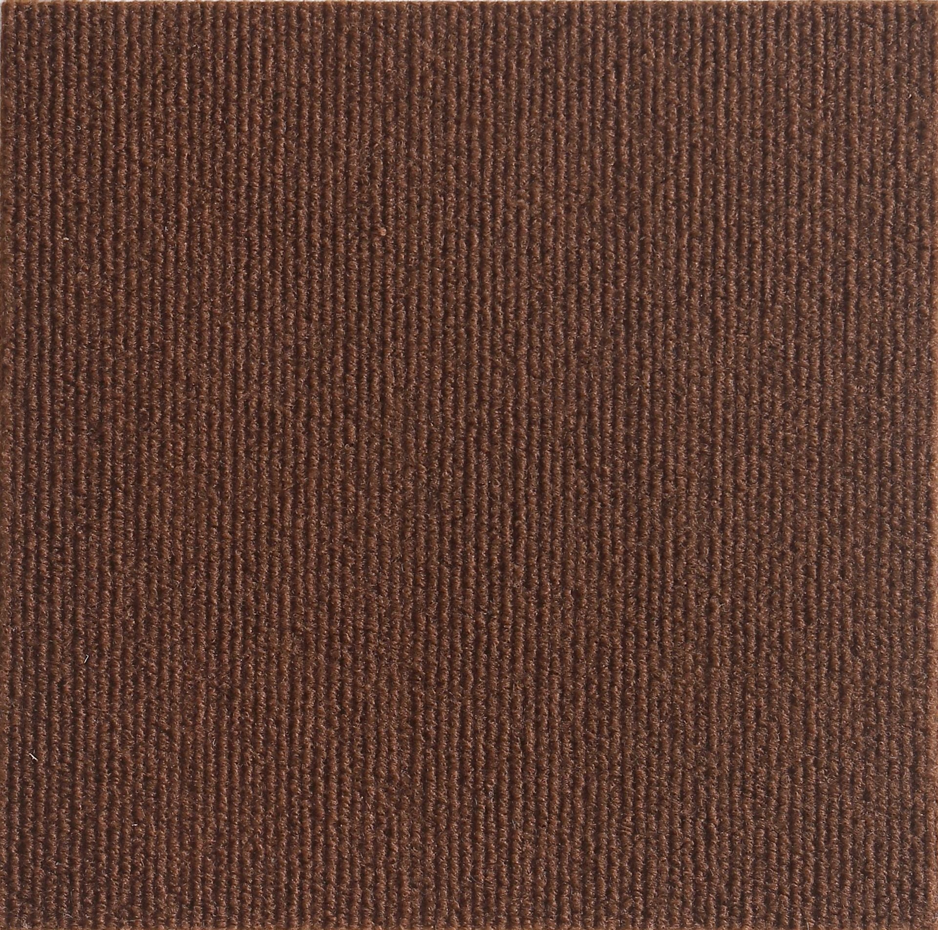 Canadian-Carto Cat Anti Scratch Mat