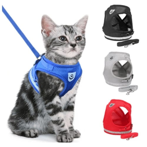 Canadian-Carto Cat Leash and Harness
