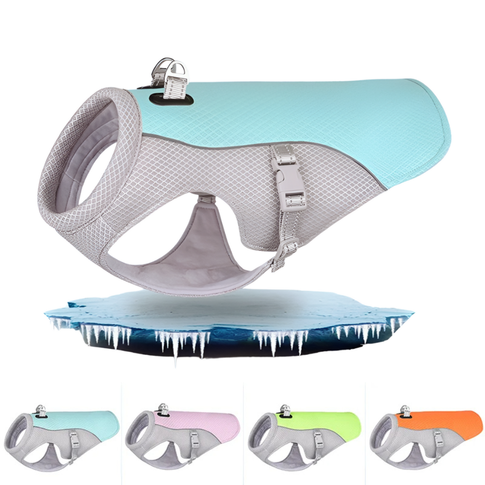 Canadian-Carto Summer Dog Cooling Vest