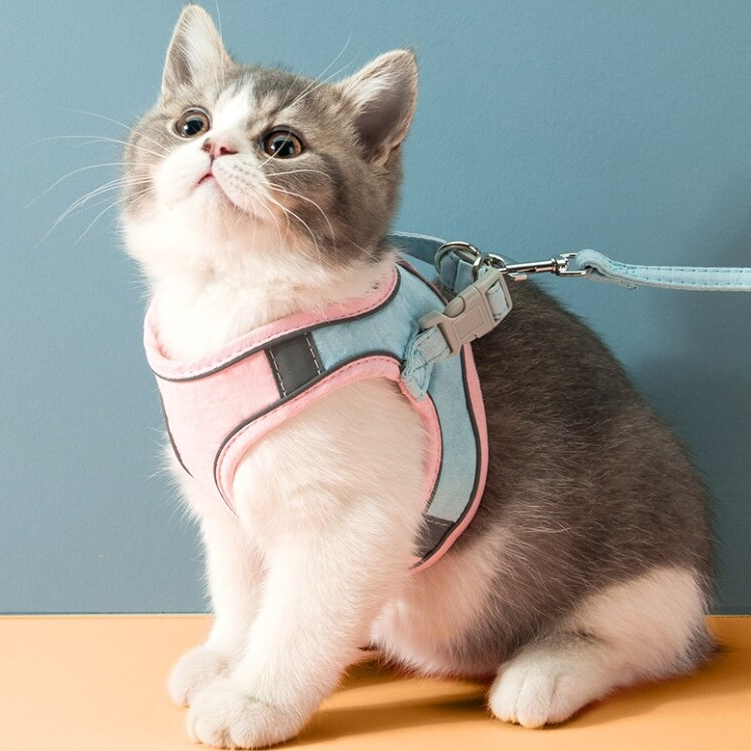 Canadian-Carto Cat Vest Harness Leash Set