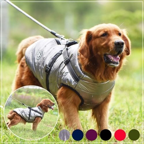 Canadian-Carto Waterproof Dog Harness Jacket