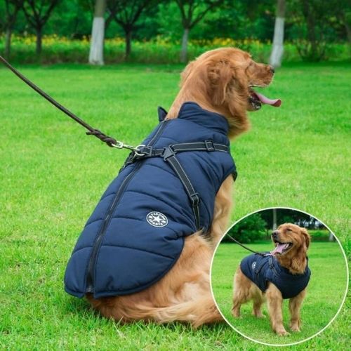 Canadian-Carto Waterproof Dog Harness Jacket