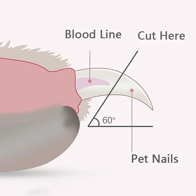 Canadian-Carto Pet Nail Clipper with LED Light