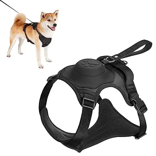 Canadian-Carto Dog Harness and Automatic Retractable Leash Kit