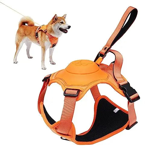 Canadian-Carto Dog Harness and Automatic Retractable Leash Kit