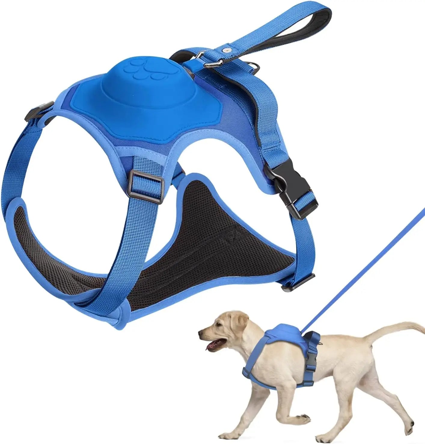 Canadian-Carto Dog Harness and Automatic Retractable Leash Kit